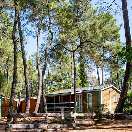 Village De Campsite
