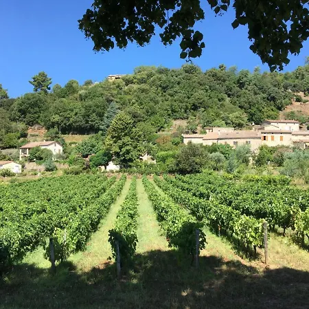 Campsite Village De